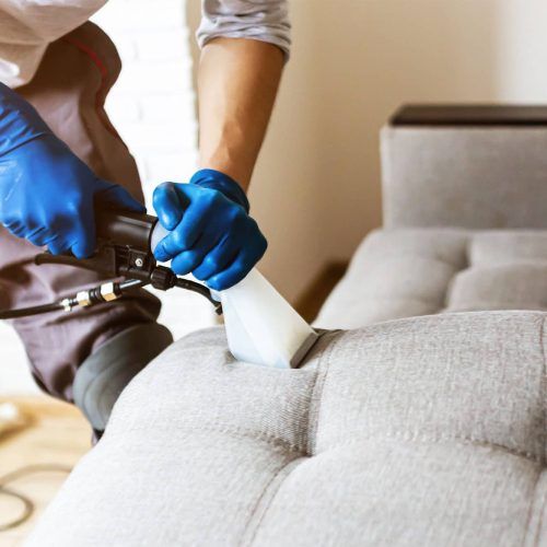 Best Upholstery Cleaning Bexley OH